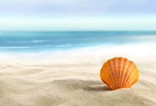 雄鹿过关篮网，字母哥恣意尽显风采