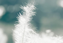 甘冈球员积极备战洲际比赛，为国争光