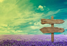 佛罗伦萨实力渐增稳守前列怀揣着意甲梦想