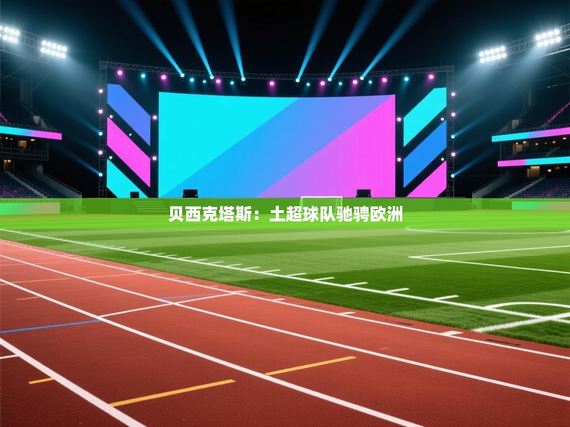 贝西克塔斯：土超球队驰骋欧洲  第2张