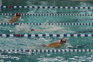 荷兰游泳选手勇夺金牌,女子自由泳项目夺冠 第1张 荷兰游泳选手勇夺金牌,女子自由泳项目夺冠 第1张