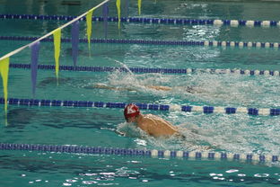 荷兰游泳选手勇夺金牌,女子自由泳项目夺冠 第2张 荷兰游泳选手勇夺金牌,女子自由泳项目夺冠 第2张